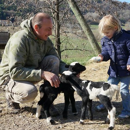 Domaine Du Bas Chalus Βίλα Forcalquier Εξωτερικό φωτογραφία